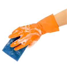 Where Cleanliness meets Care Services - B体育 APP