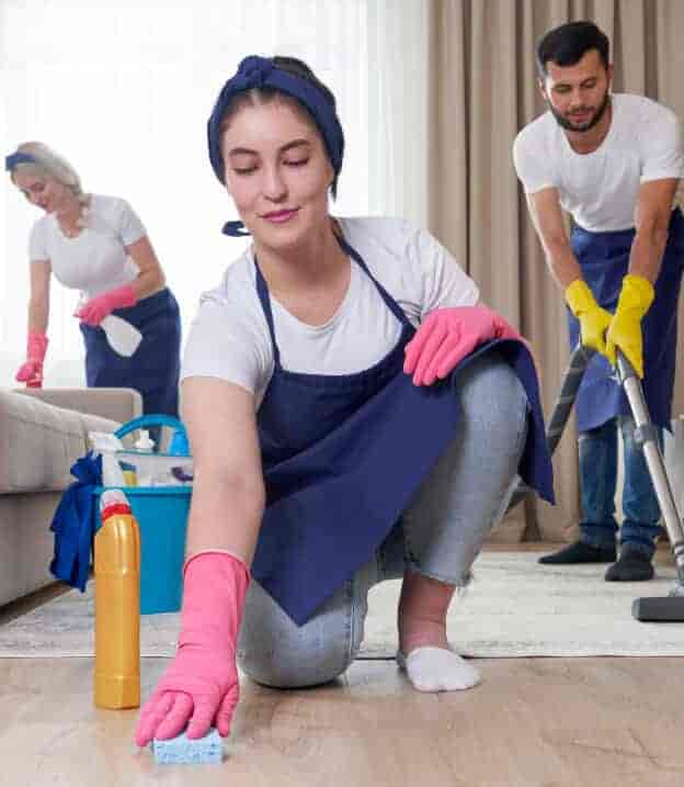Discover the Best Cleaning Services for Your Home - B体育 APP
